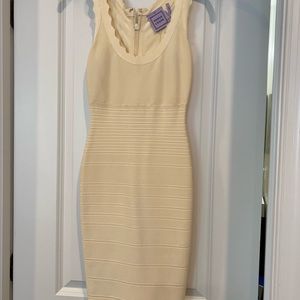 Herve Ledger Dress